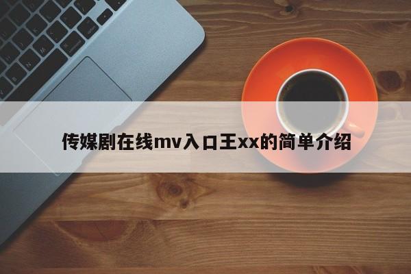传媒剧在线mv入口王xx的简单介绍