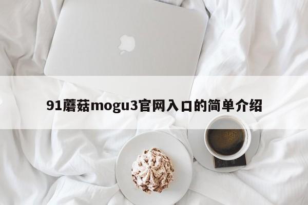 91蘑菇mogu3官网入口的简单介绍